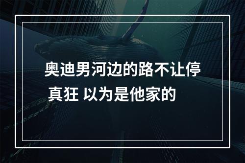 奥迪男河边的路不让停 真狂 以为是他家的