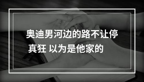 奥迪男河边的路不让停 真狂 以为是他家的