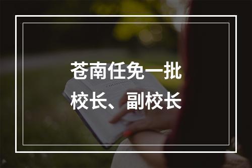 苍南任免一批校长、副校长