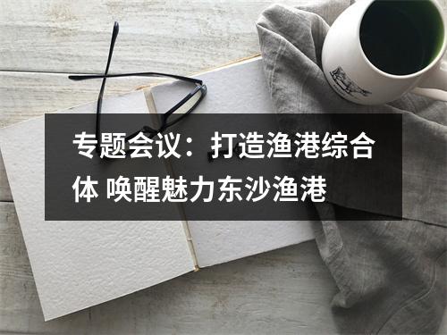 专题会议：打造渔港综合体 唤醒魅力东沙渔港