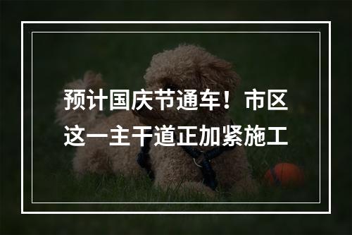 预计国庆节通车！市区这一主干道正加紧施工