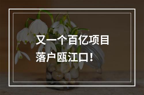 又一个百亿项目落户瓯江口！