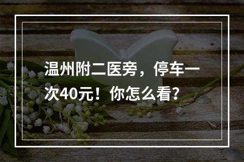 温州附二医旁，停车一次40元！你怎么看？
