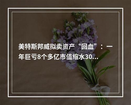 美特斯邦威拟卖资产“回血”：一年巨亏8个多亿市值缩水300多亿