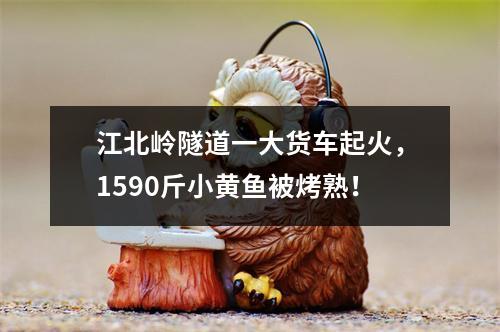 江北岭隧道一大货车起火，1590斤小黄鱼被烤熟！