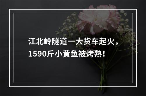 江北岭隧道一大货车起火，1590斤小黄鱼被烤熟！