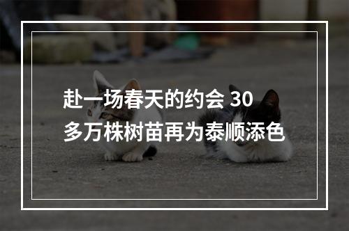 赴一场春天的约会 30多万株树苗再为泰顺添色