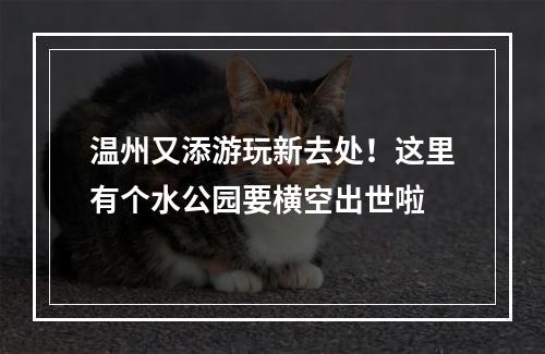温州又添游玩新去处！这里有个水公园要横空出世啦
