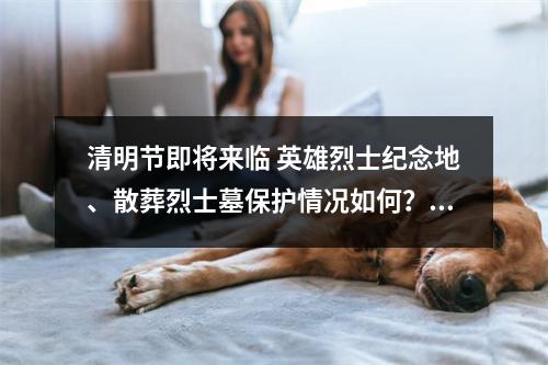 清明节即将来临 英雄烈士纪念地、散葬烈士墓保护情况如何？ 鹿城这两处保护好