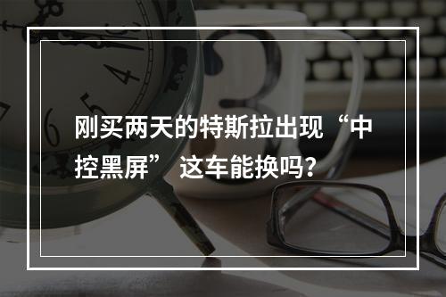 刚买两天的特斯拉出现“中控黑屏” 这车能换吗？