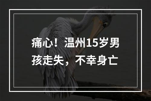 痛心！温州15岁男孩走失，不幸身亡
