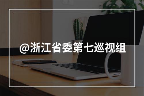 @浙江省委第七巡视组