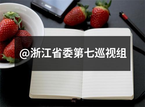 @浙江省委第七巡视组