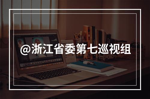 @浙江省委第七巡视组
