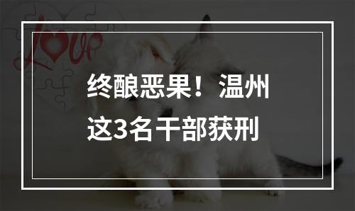 终酿恶果！温州这3名干部获刑