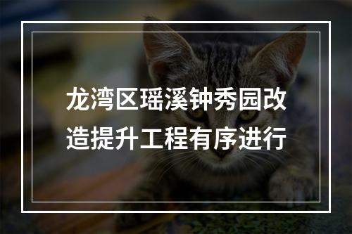 龙湾区瑶溪钟秀园改造提升工程有序进行