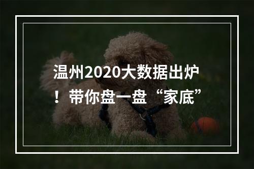 温州2020大数据出炉！带你盘一盘“家底”
