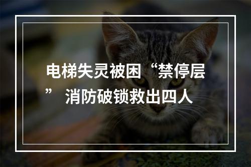电梯失灵被困“禁停层” 消防破锁救出四人
