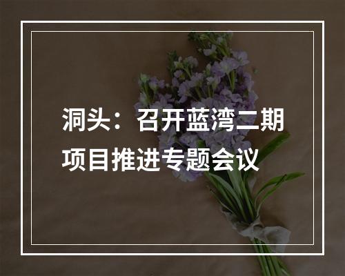 洞头：召开蓝湾二期项目推进专题会议