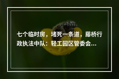七个临时房，堵死一条道，藤桥行政执法中队：轻工园区管委会的违法行为不敢管吗？