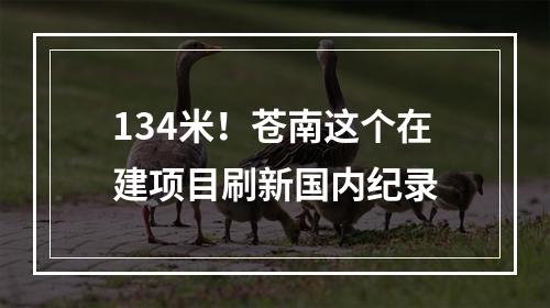 134米！苍南这个在建项目刷新国内纪录