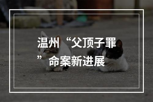 温州“父顶子罪”命案新进展