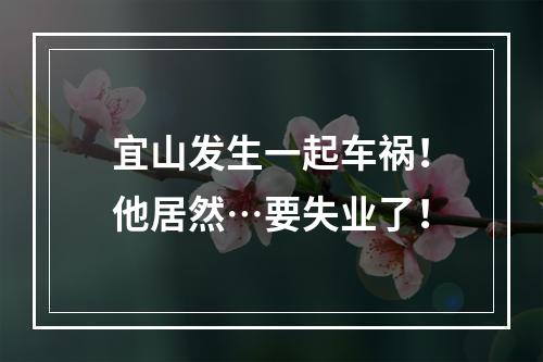 宜山发生一起车祸！他居然…要失业了！