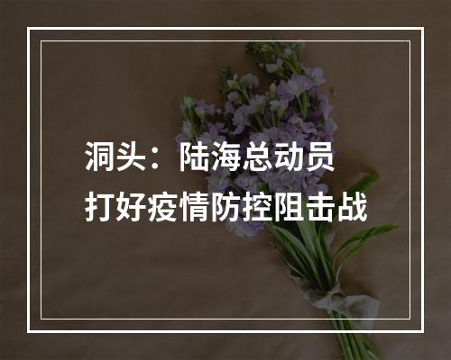 洞头：陆海总动员 打好疫情防控阻击战