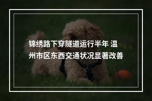 锦绣路下穿隧道运行半年 温州市区东西交通状况显著改善