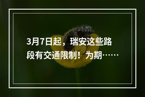 3月7日起，瑞安这些路段有交通限制！为期……