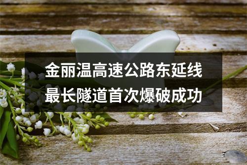 金丽温高速公路东延线最长隧道首次爆破成功