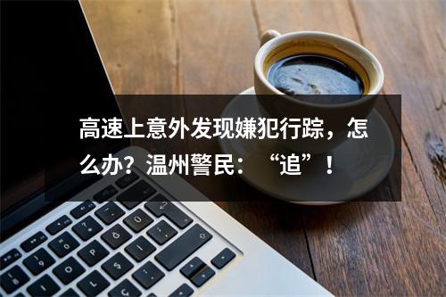 高速上意外发现嫌犯行踪，怎么办？温州警民：“追”！
