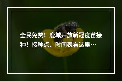 全民免费！鹿城开放新冠疫苗接种！接种点、时间表看这里…