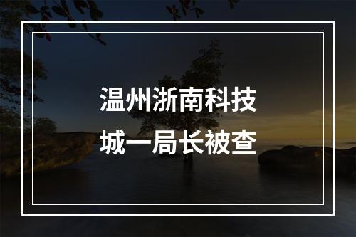 温州浙南科技城一局长被查
