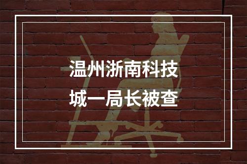 温州浙南科技城一局长被查