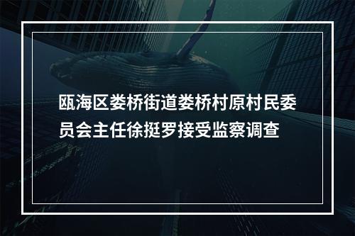 瓯海区娄桥街道娄桥村原村民委员会主任徐挺罗接受监察调查