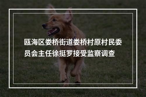 瓯海区娄桥街道娄桥村原村民委员会主任徐挺罗接受监察调查