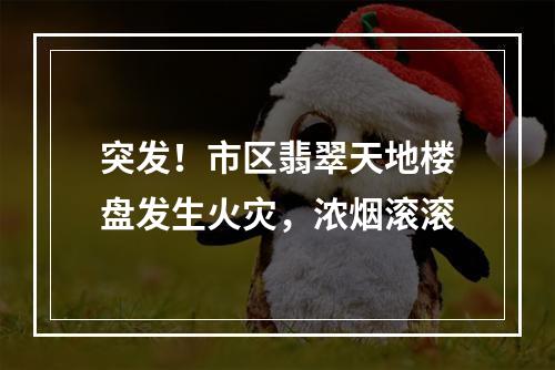 突发！市区翡翠天地楼盘发生火灾，浓烟滚滚