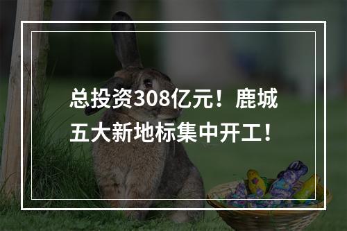 总投资308亿元！鹿城五大新地标集中开工！