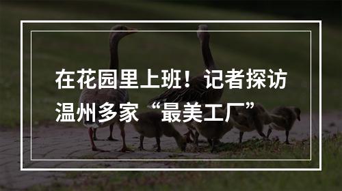 在花园里上班！记者探访温州多家“最美工厂”