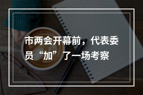 市两会开幕前，代表委员“加”了一场考察