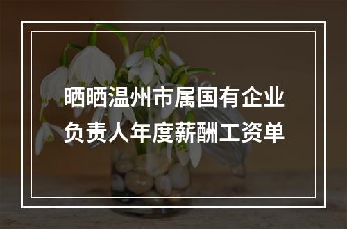 晒晒温州市属国有企业负责人年度薪酬工资单