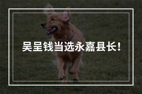 吴呈钱当选永嘉县长！