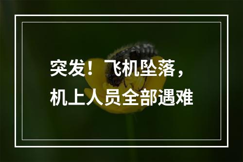 突发！飞机坠落，机上人员全部遇难