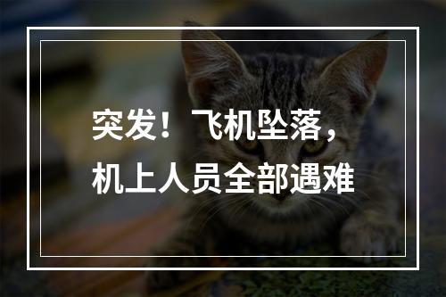 突发！飞机坠落，机上人员全部遇难