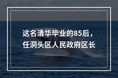这名清华毕业的85后，任洞头区人民政府区长