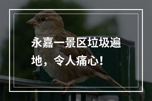 永嘉一景区垃圾遍地，令人痛心！