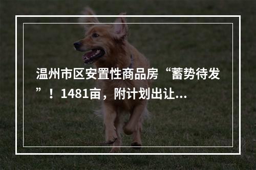 温州市区安置性商品房“蓄势待发”！1481亩，附计划出让清单
