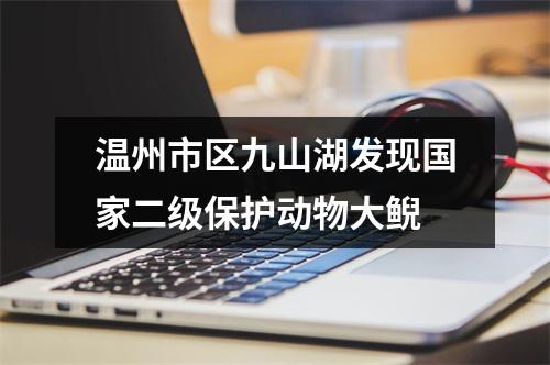 温州市区九山湖发现国家二级保护动物大鲵