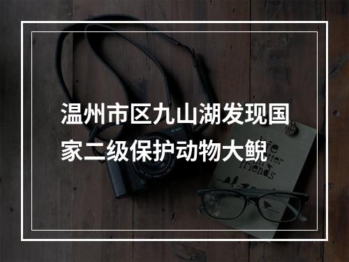 温州市区九山湖发现国家二级保护动物大鲵